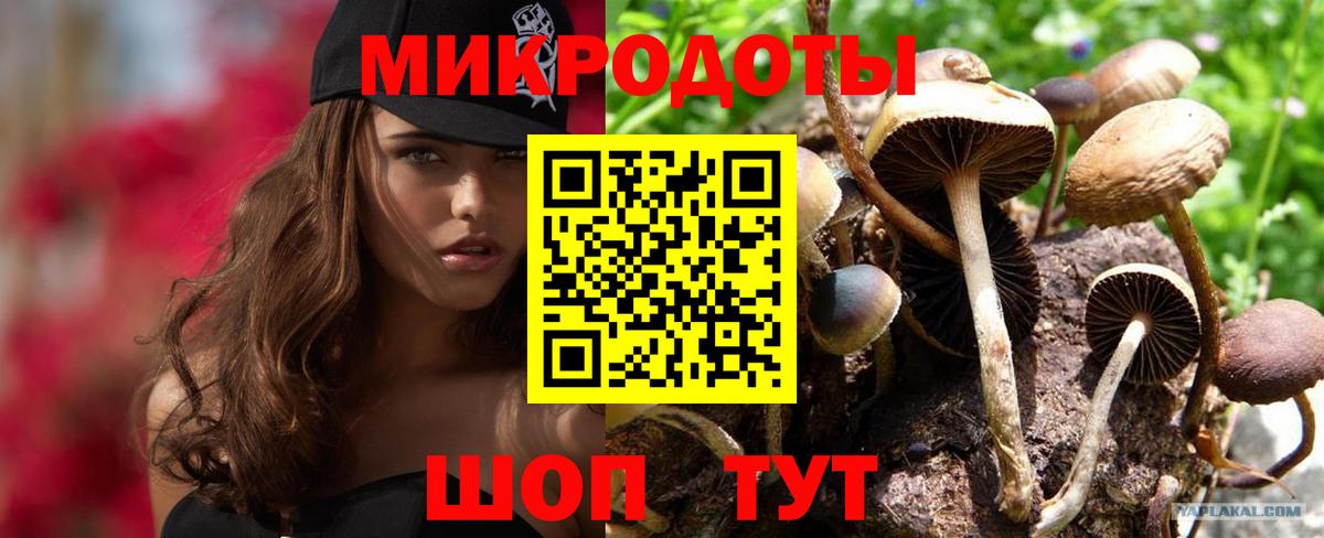 Ревда  цена   Вход с VPN  Псилоцибиновые грибы мухоморы 